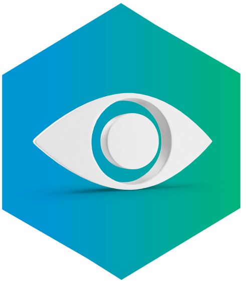 Vision Icon